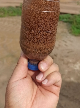 新闻资讯